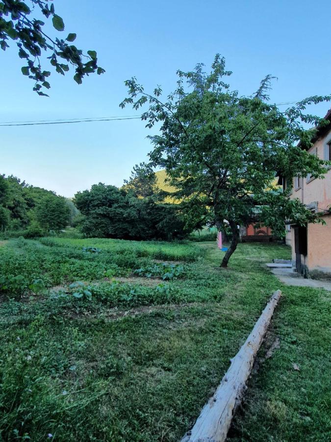 B&B Calecatine Rocca di Botte Екстериор снимка